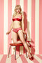 Strawberry Cake Panty